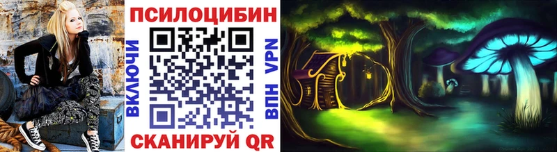 shop Telegram  Удачный  Псилоцибиновые грибы Cubensis  магазин продажи наркотиков 