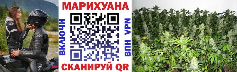 купить закладку  Удачный  Бошки марихуана план 